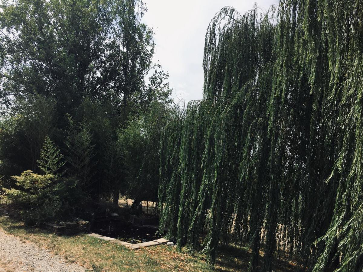 Il Biancospino Vila Casteggio Exterior foto